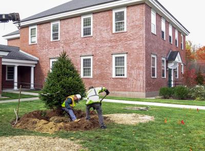 PLANTING NEW TRADITIONS