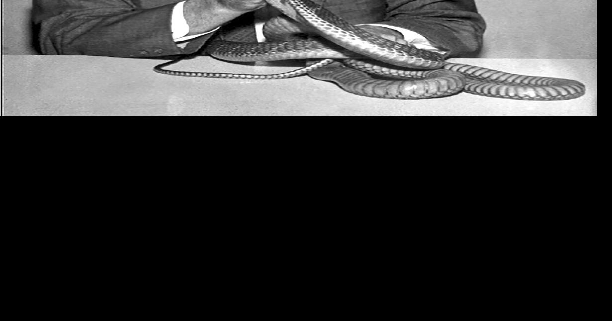 Western CT State University Exhibit on The Snake Doctor