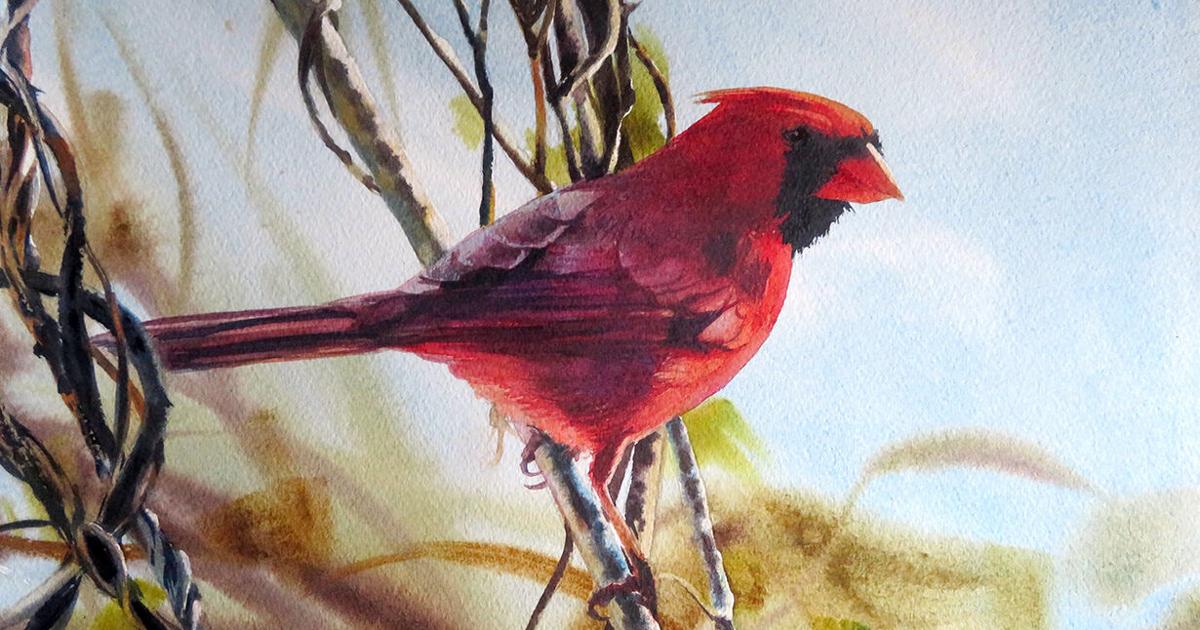 Society of Creative Arts of Newtown Presents Bivenne Staiger Demonstrating Watercolor