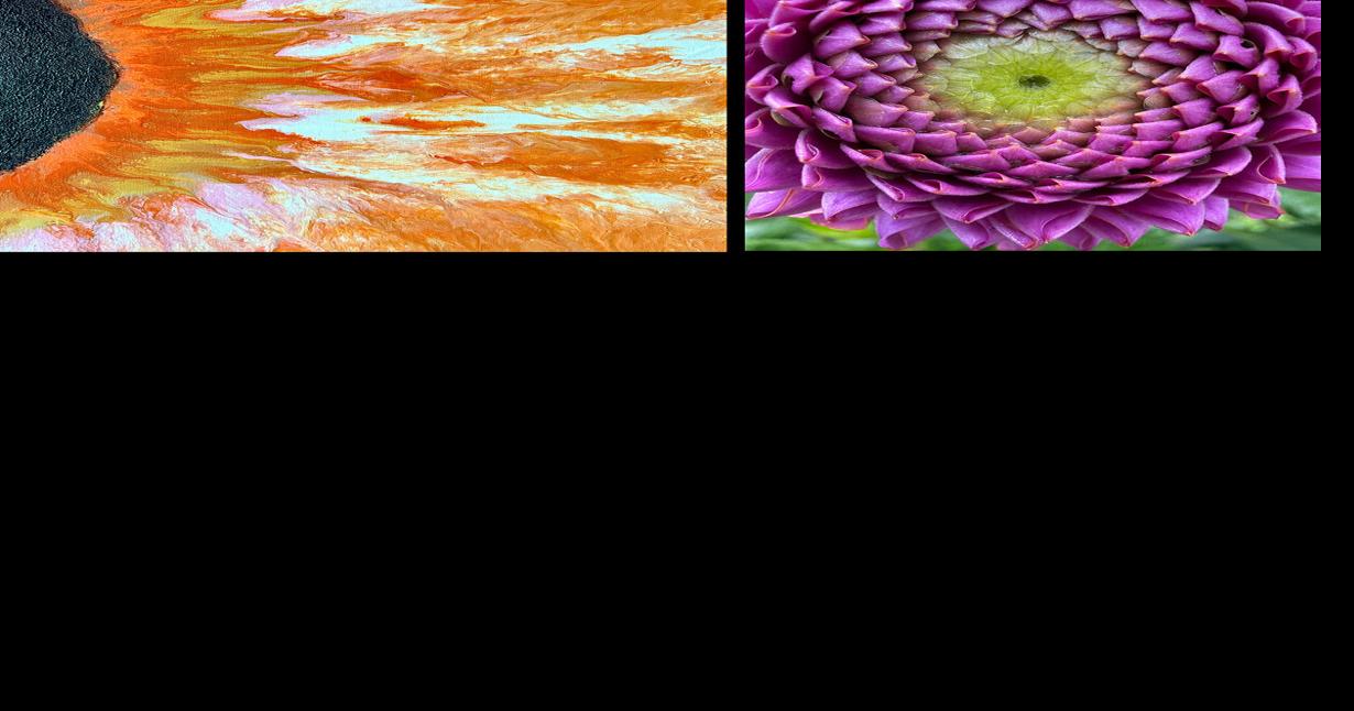 'Seeing Things Differently': Exhibit of Paintings and Photography by ...