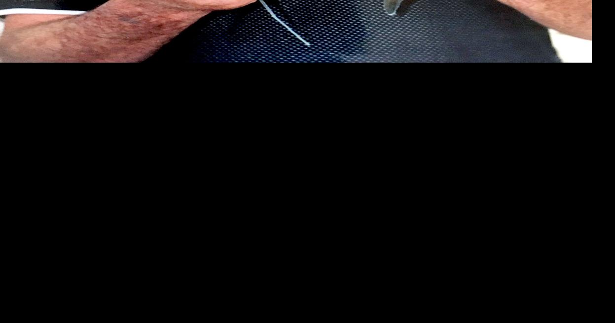 James Carney Obituaries