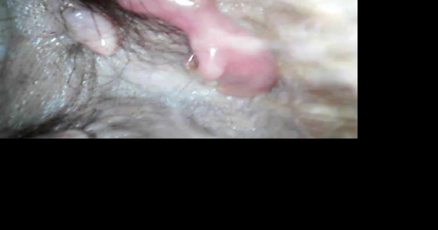 Tiny ‘pouch-cam’ gives rare glimpse of newly born kangaroo joey