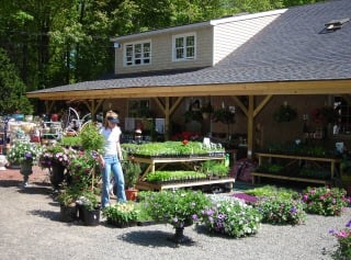 Garden Center Celebrates Milestone | Local Business | primepublishers.com