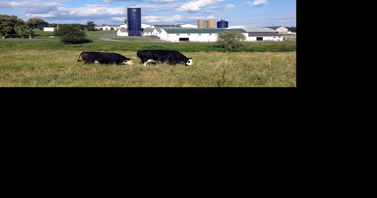 Toplands Farm Tractor Show Set With Open House Community Events