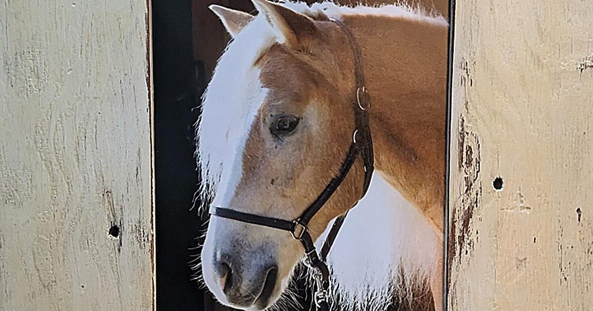 Women Photographers of Connecticut at the Woodbury Public Library in January