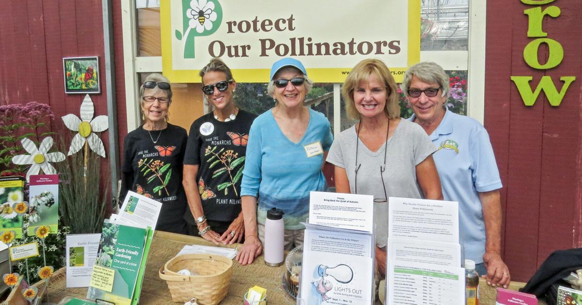 Pollinators Vip PLANTS FOR POLLINATORS | Garden | primepublishers.com