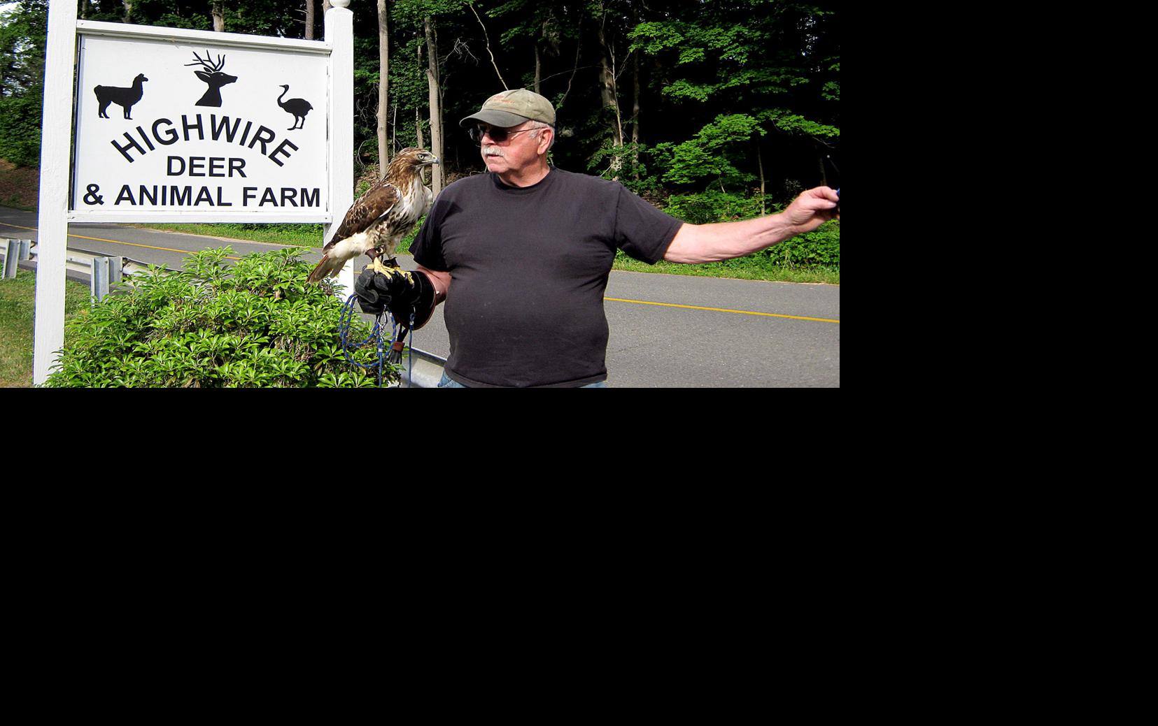 Falconry Talk Set Pets Horses Primepublisherscom