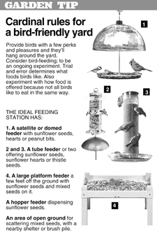 Not Ruling Out Anything' - Inside The Birds