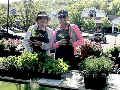 Southbury Garden Club Plant Sale Set for May 14 at Southbury Green