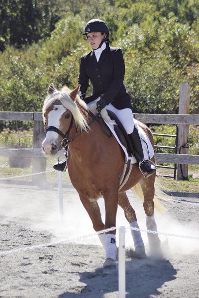 Traver First in Equine Competition | Local Sports | primepublishers.com