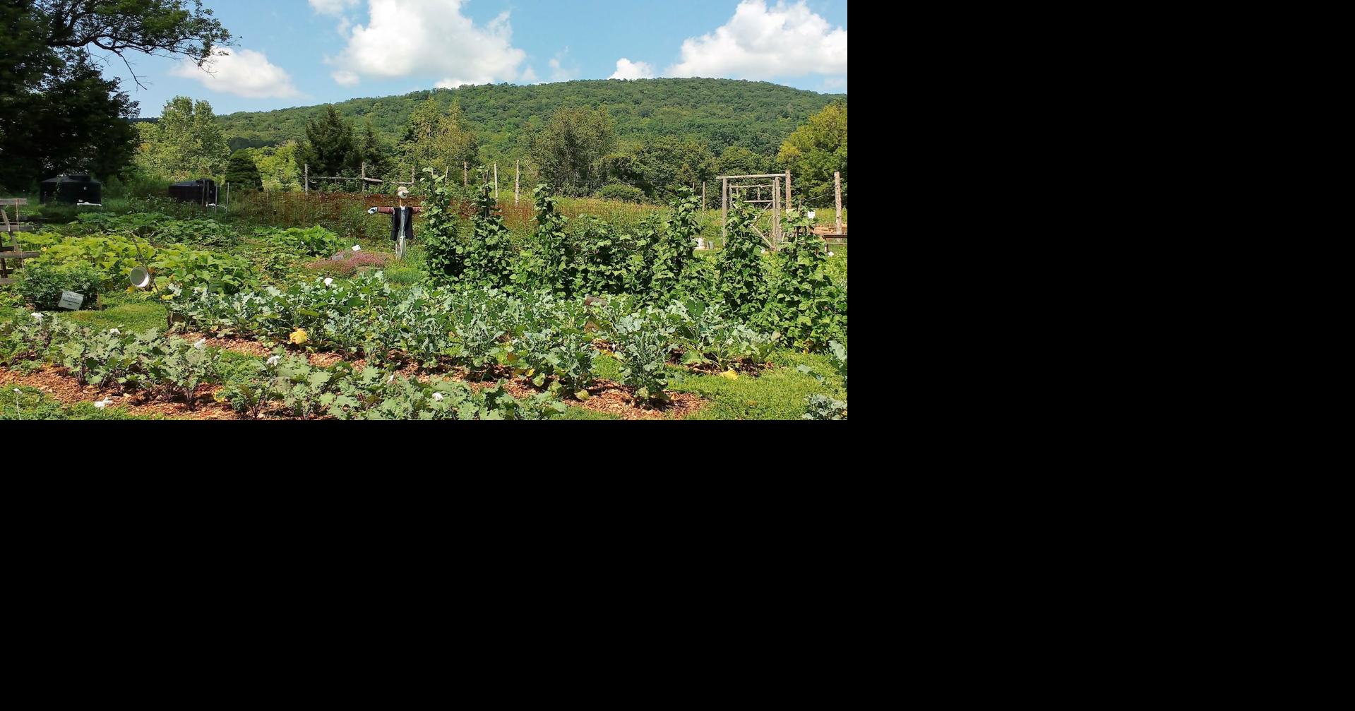 Judea Garden plans annual Open Garden at Macricostas Preserve Garden