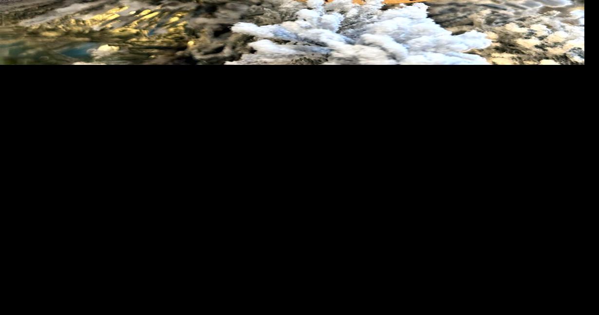 CHRISTMAS ORNAMENT FUNDRAISER Community News