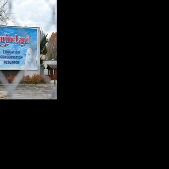 Canada's captive whales face euthanasia threat and uncertain future