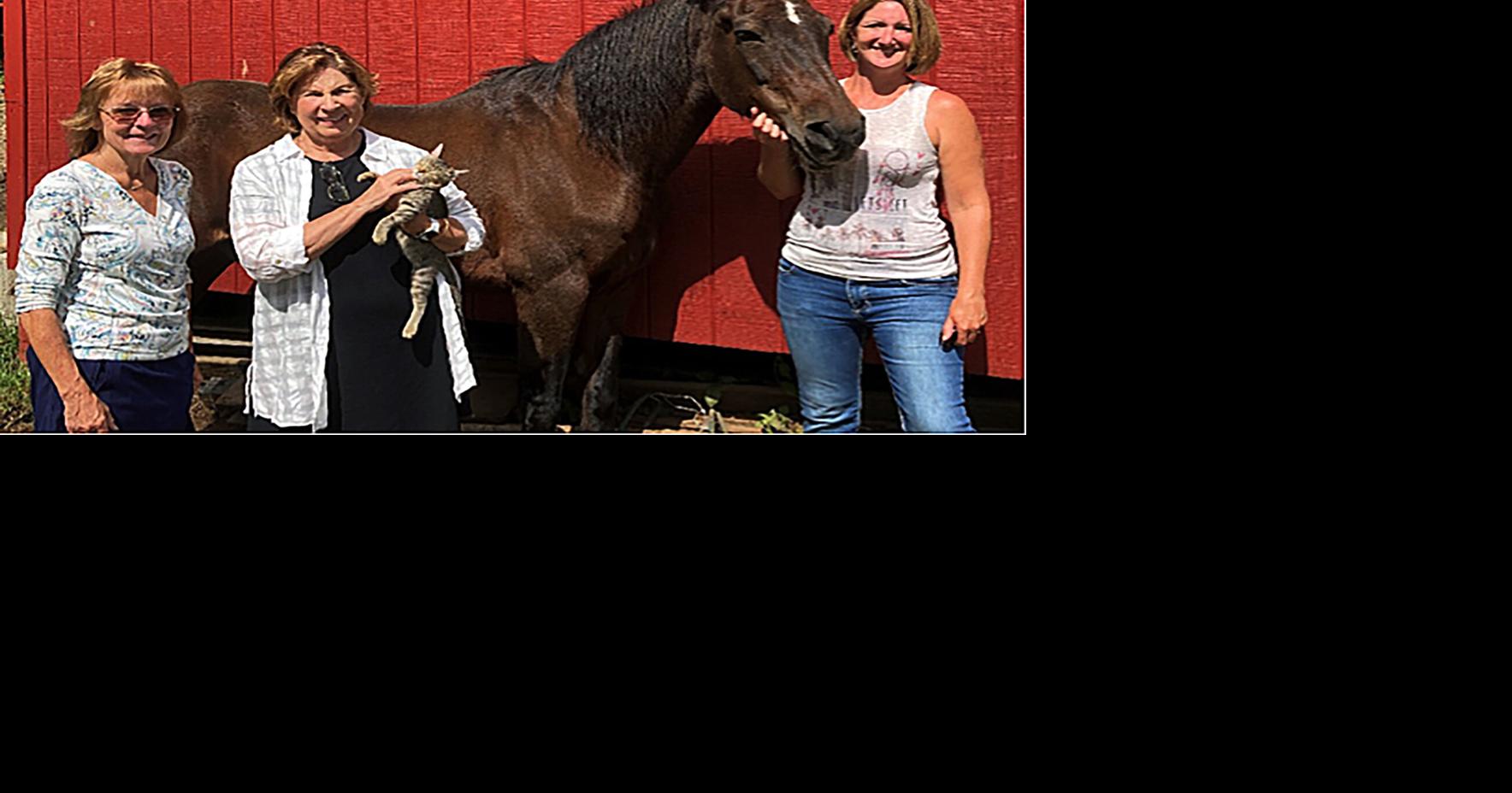 Equine Therapy Services Program Watertown Foundation Awards Grant to Healing Hoofbeats of