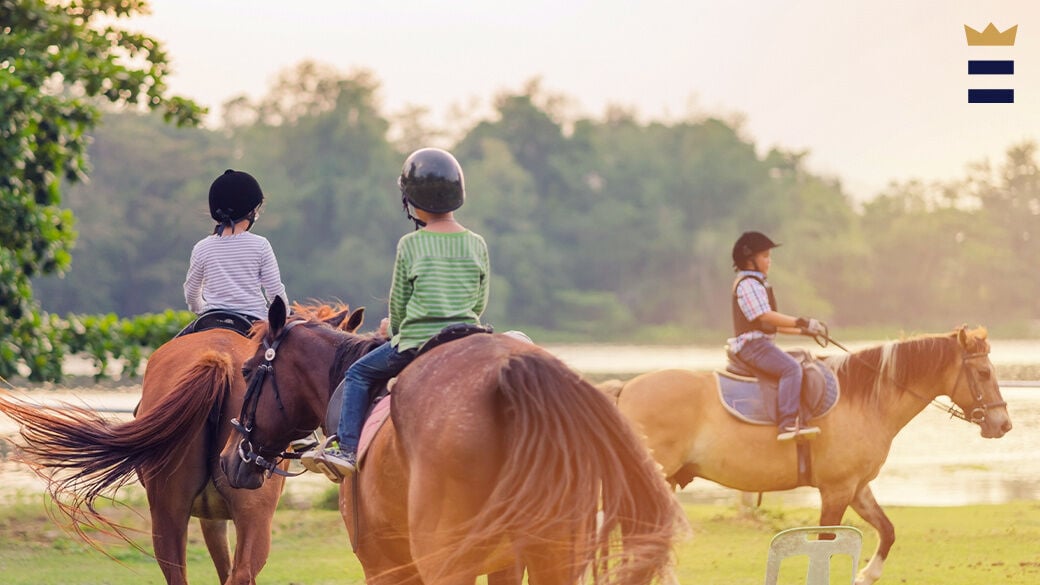 The U.S. Centers for Disease Control found that of all sports, equestrians suffered the highest rate of traumatic brain injury among any other type of recreation.