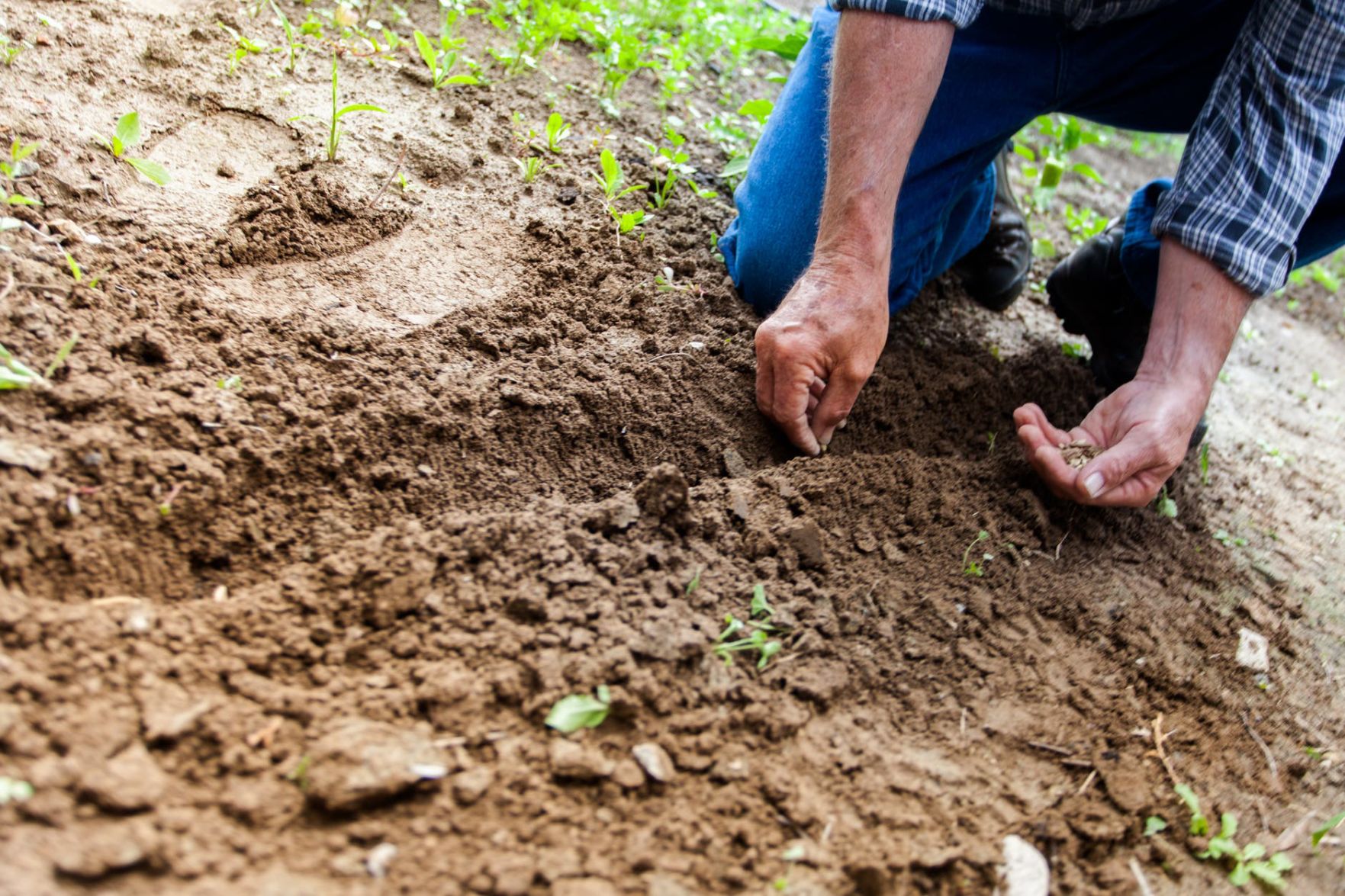 5 Ways To Prep Your Garden For Spring | Home-and-garden | Prostoknow.com