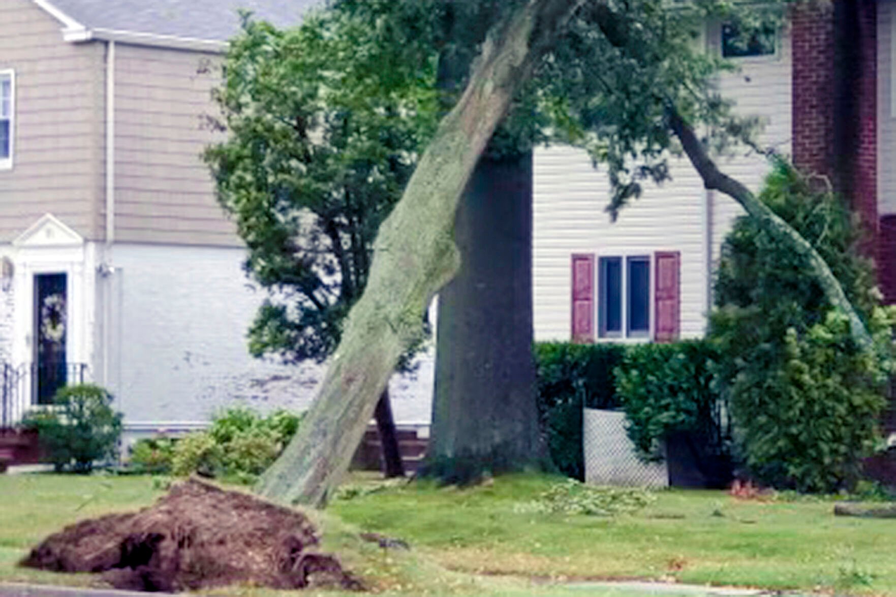 How To Protect Your Garden Before And After Severe Storms | Home-and ...