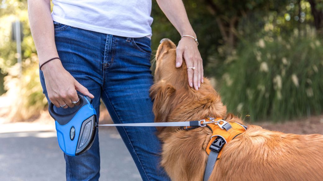 Dog lovers rarely mind receiving a gift that's more for their canine companion than for them.