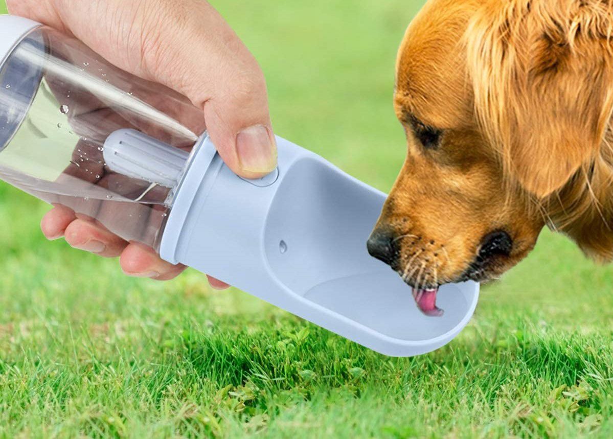 This portable dog water bottle is made for long summer walks Homeandgarden