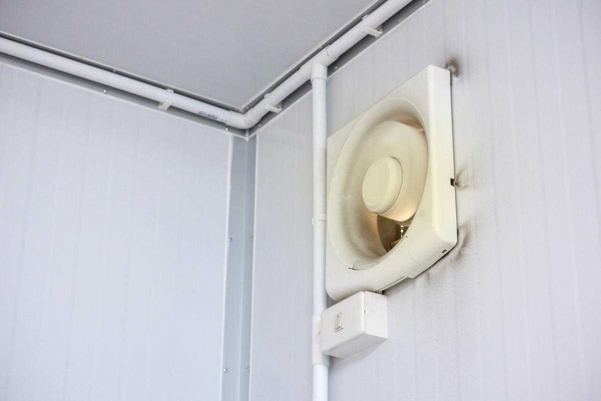 Bathroom mold