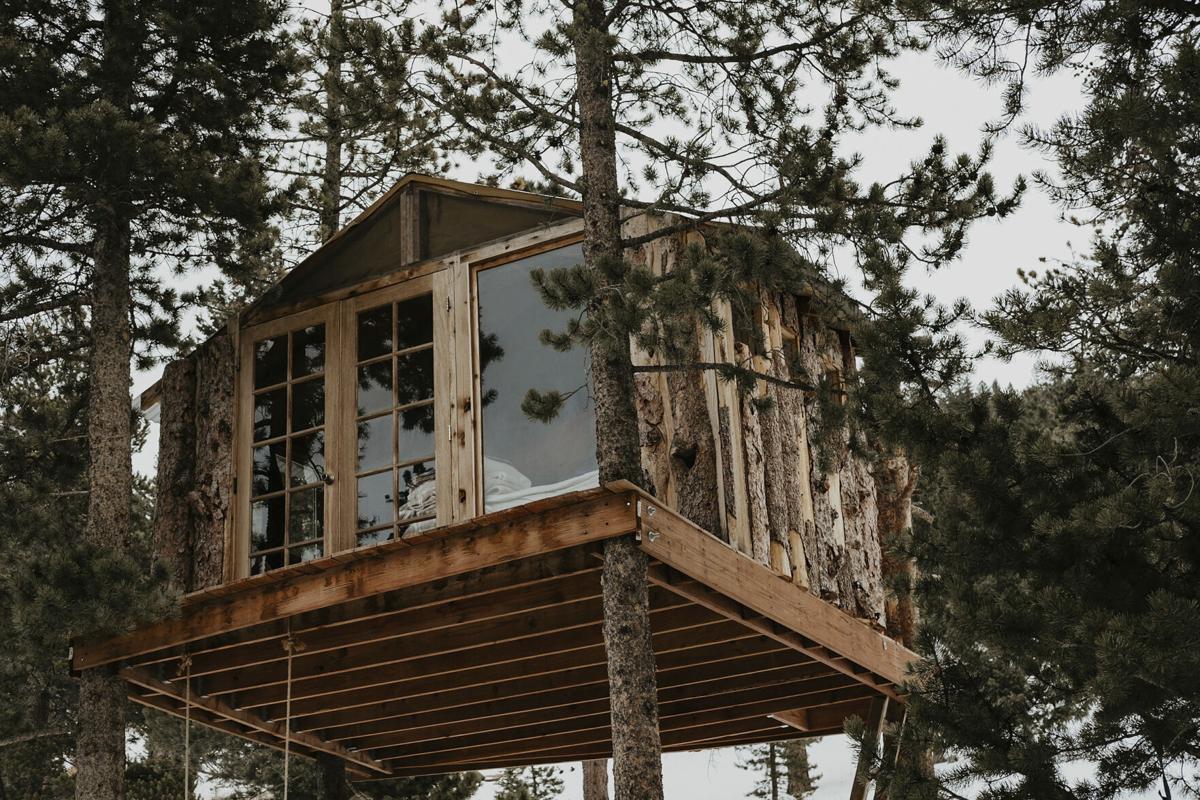Treehouse