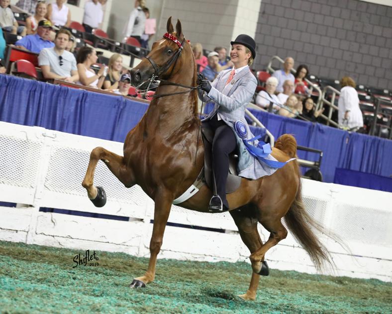 Princeton teen wins 5th blue ribbon at Worlds horse show News