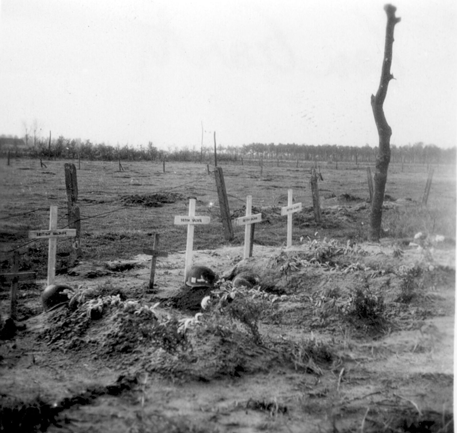 Family finally discovers fate of fallen WWI soldier who helped liberate Belgium - Vimarsana News