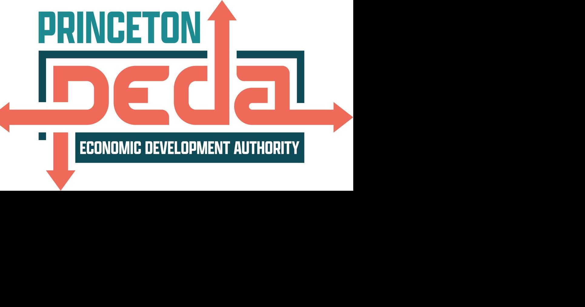 national economic and development authority logo