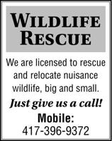 185423 Wildlife