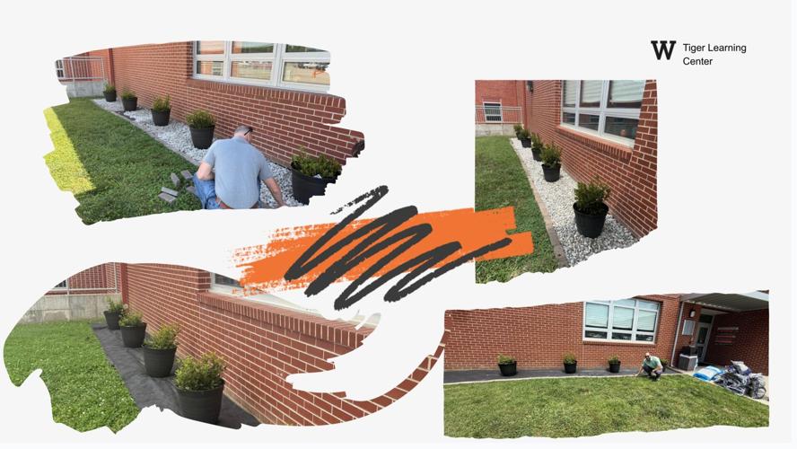 Tiger Learning Center