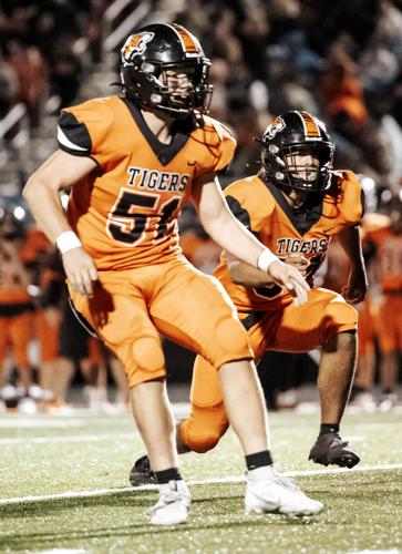 Route 66 tigers 10.11.23