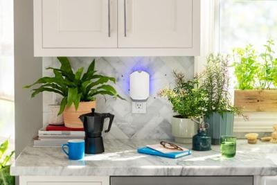 ¿Va a hacer la limpieza primaveral de su cocina? Vea cómo mantener fuera a los insectos