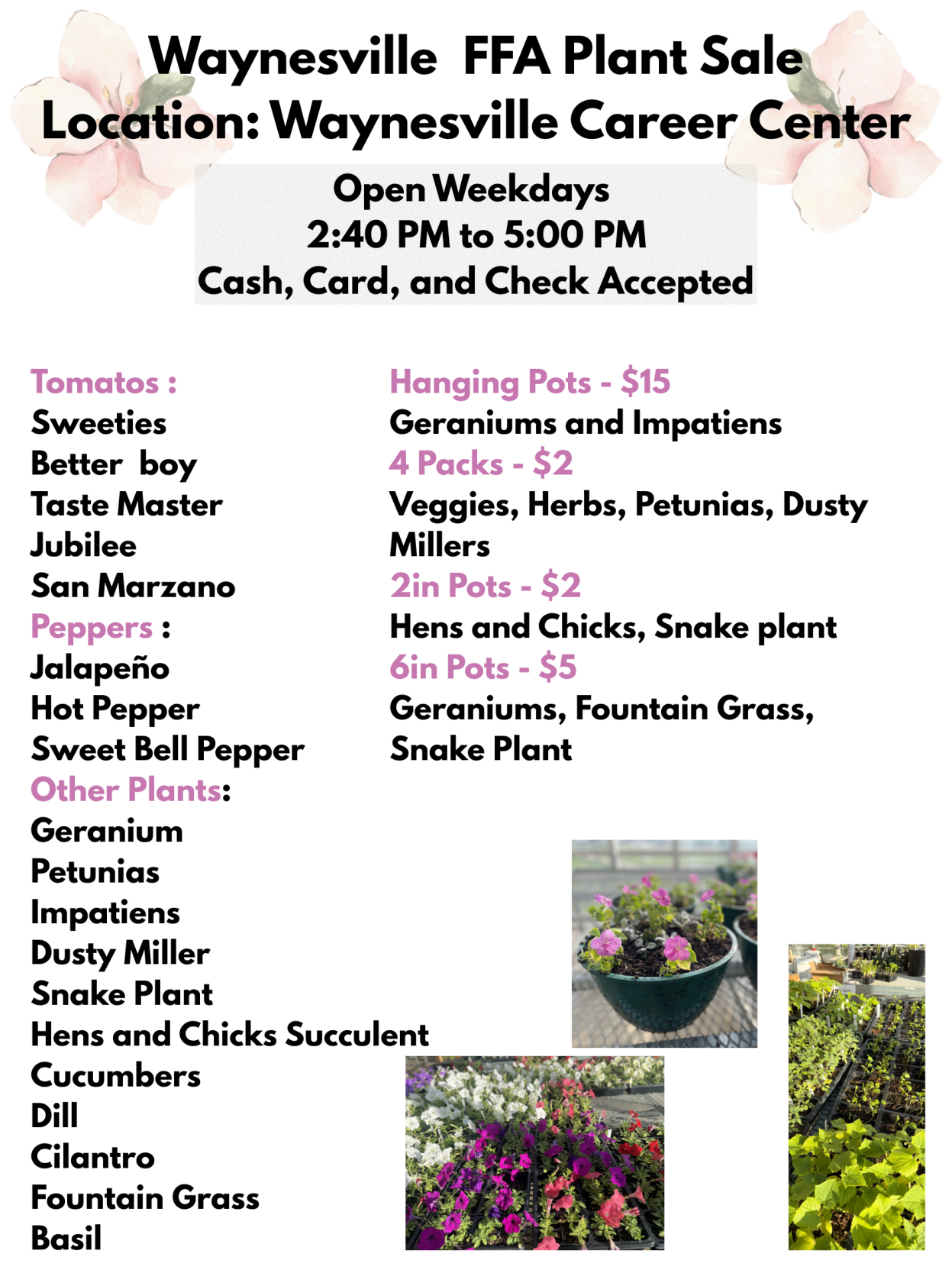 Waynesville FFA Plant Sale Open - 1