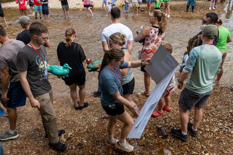 Tiger Duck race 1.jpg