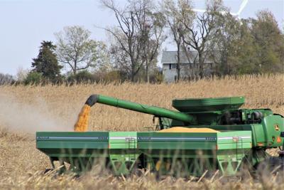 farm harvest