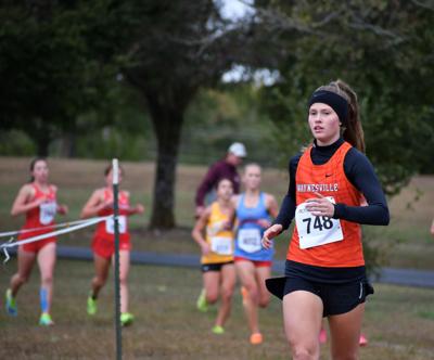 tiger runners online