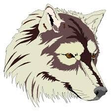 no newburg girls bb this season