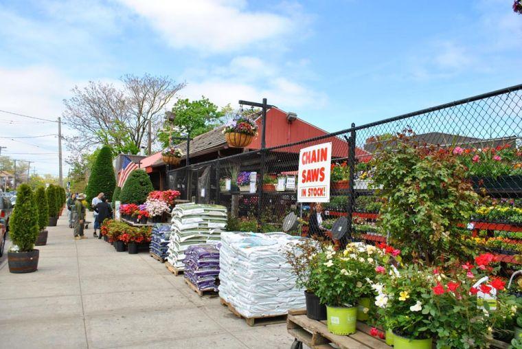 the keil brothers garden center and nursery at 210 11 48 ave is being eyed as the potential home for a 416 seat school - Bayside Garden Center the keil brothers garden center and nursery at 210 11 48 ave is being eyed as the potential home for a 416 seat school - Bayside Garden Center