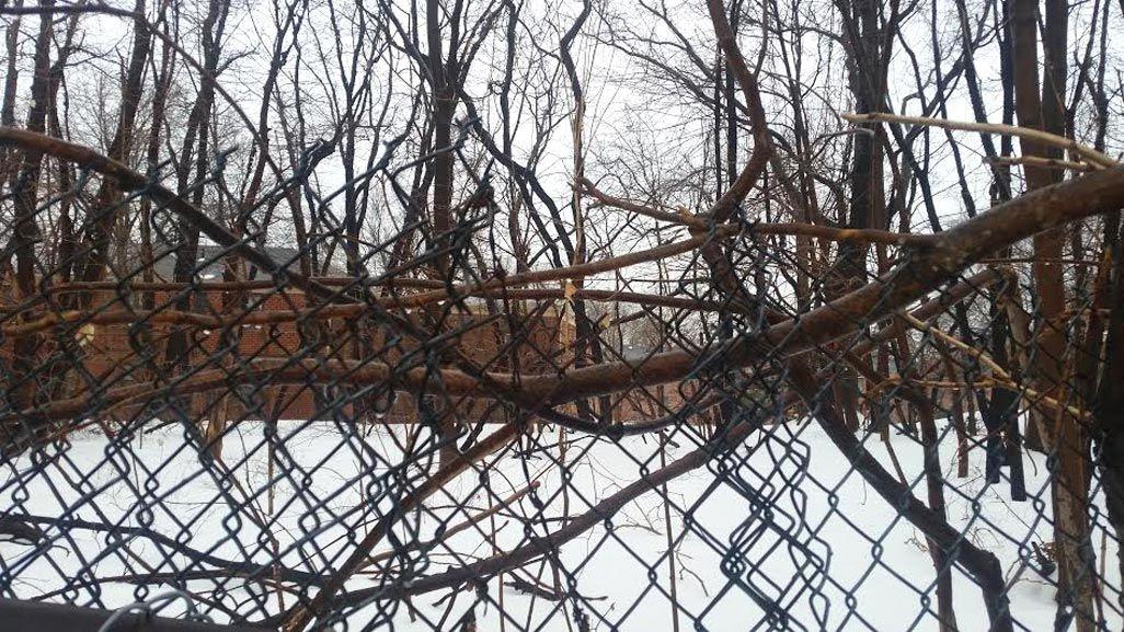 Controvery heats up at Windsor Oaks