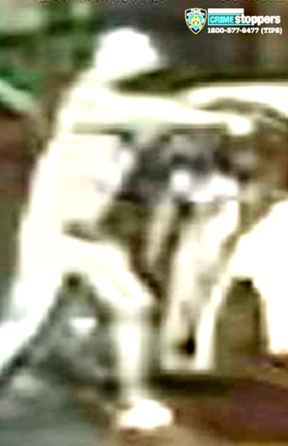 Cops look for perps in separate assaults NYPD needs identities of street-fight shooter and MTA bus driver attacker by Kristina Raevsky, Chronicle Contributor Sep 3, 2026 48 mins ago