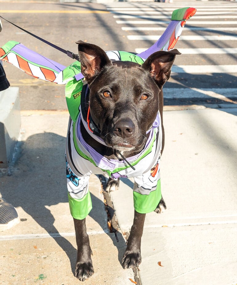 Spooktacular time at Howard Beach Halloween parade