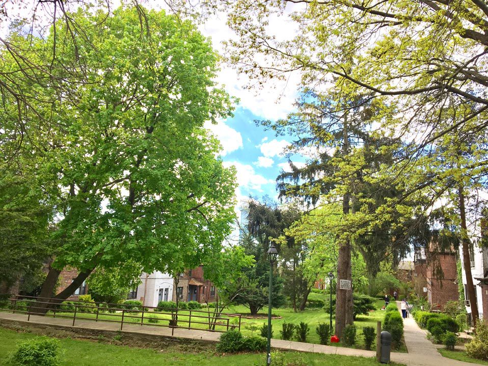 Dale Gardens tenants rage over park removal