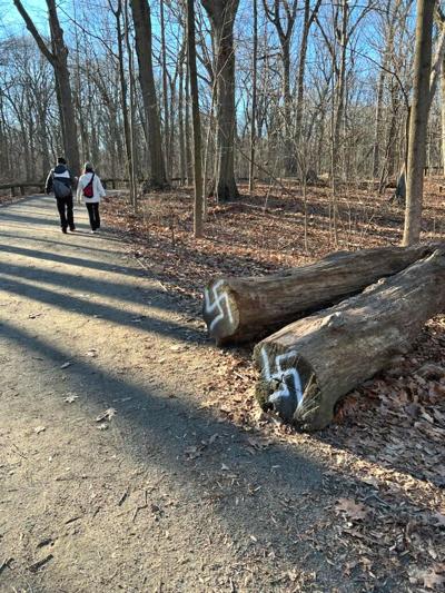 Swastikas found in Forest Park Sunday 1