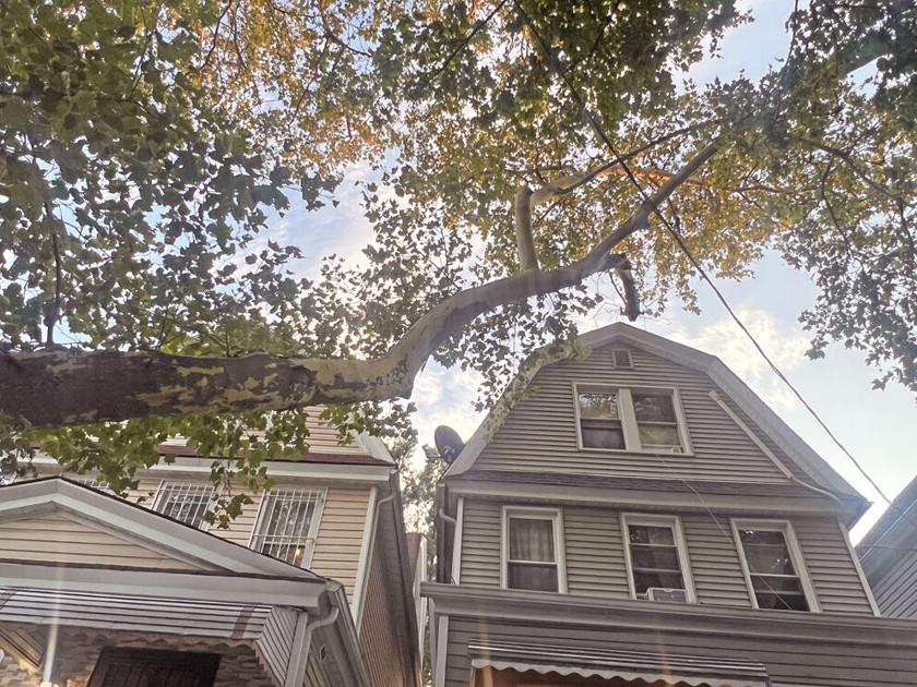 Elmhurst folks tied up over trees, cables