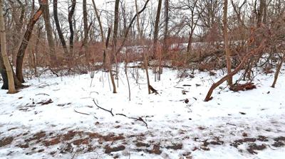 kissena area qchron decomposed discovered body although unclear criminality scattered wooded remains human found week were park last if