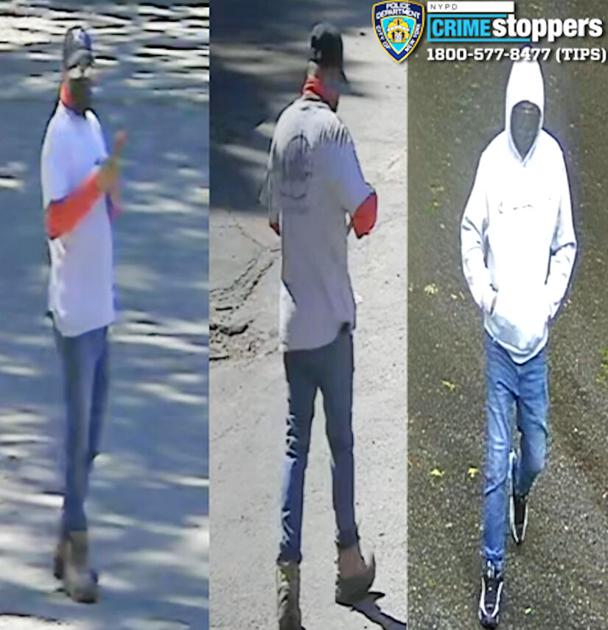 Alleged tractor thief is sought by police Man took vehicles from Forest Park: cops by Kristen Guglielmo, Editor Oct 29, 2026 3 hrs ago