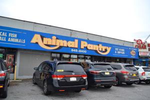Collapse At Animal Pantry Spills Over Queens Chronicle South