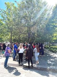 Ceremony to plant HB Survivor Tree on 9/11 | | qchron.com