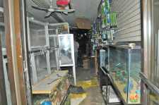 Fire at Astoria pet store inspires new legislation qchron