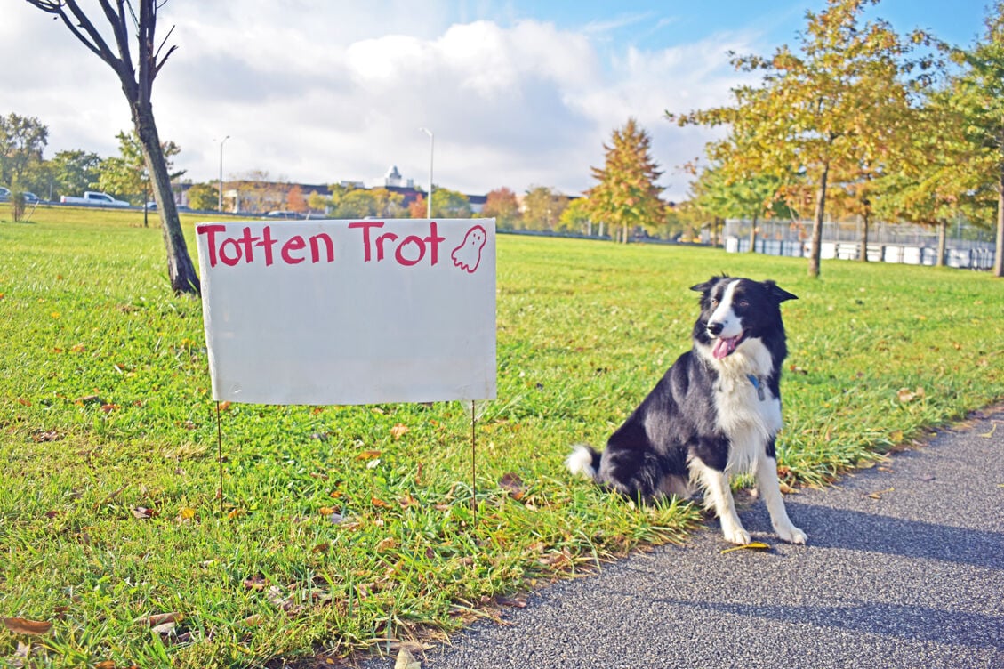 Trotting through Fort Totten on Halloween